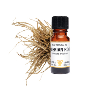 Valerian Root Essential Oil 10ml