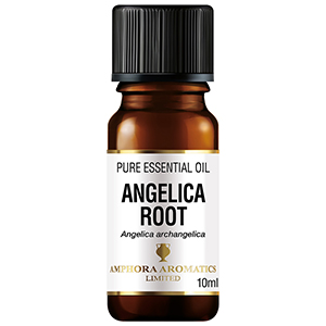 Angelica Root Essential Oil 10ml