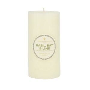 830_e.o candles 6x3_basil&bay_copy_300x300.jpg