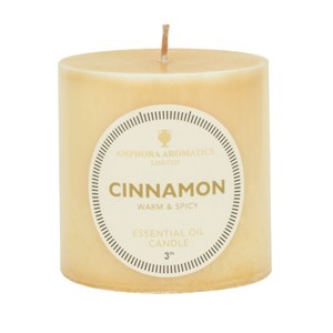 713_e.o candle 3x3_cinnamon_300x300.jpg