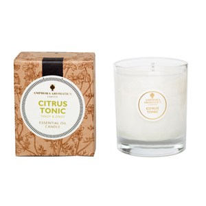 citrus_tonic_40_pot_candle_300x300.jpg