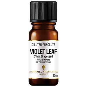 Violet essential oil in the bottle Stock Photo