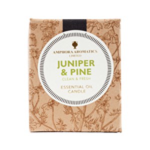 juniper_pine_40_pot_candle_150x15.jpg