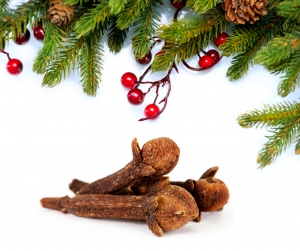 Jingle Smells! Fab Festive Fragrances from pure essential oils.