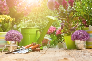 Aromatherapy in the Garden!