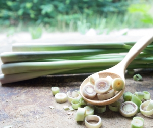 Daylight Saving Oils - Lemongrass