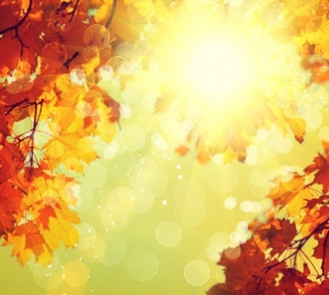 AA Skincare Autumn Skincare Tips