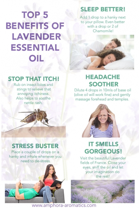 Top 5 Benefits of Lavender Essential Oil