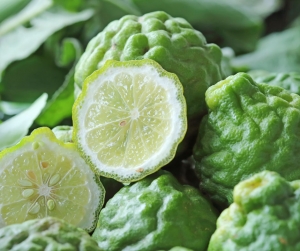 Daylight Saving Oils - Bergamot