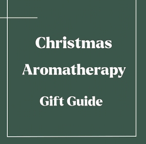 Christmas Gift Guide