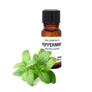 Take a Closer Look at Our Essential Oil Producers – The Peppermint Harvest, India